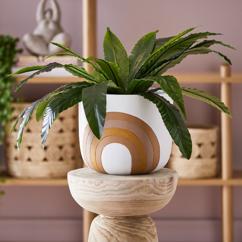 Sun Rise White Rainbow Pot