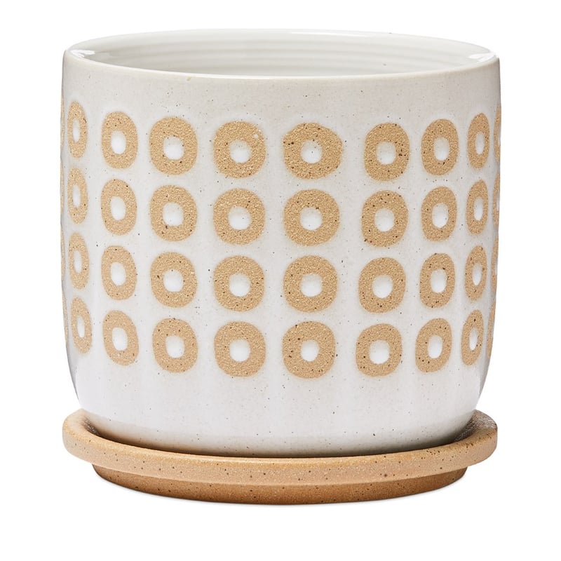Tuscan Spot Off White Sand Pot and Saucer