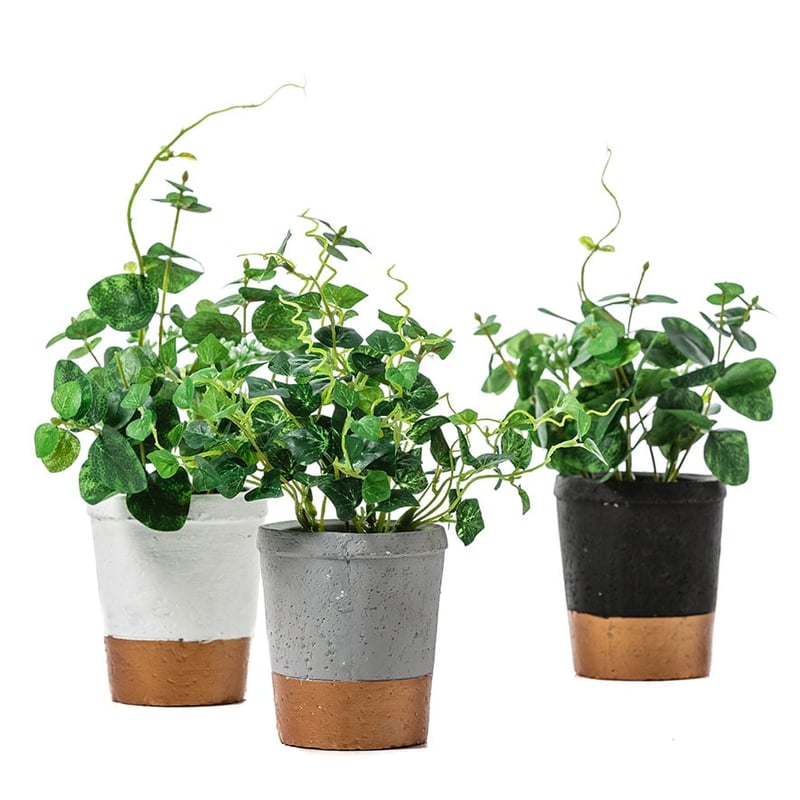 Black Everleigh Planter