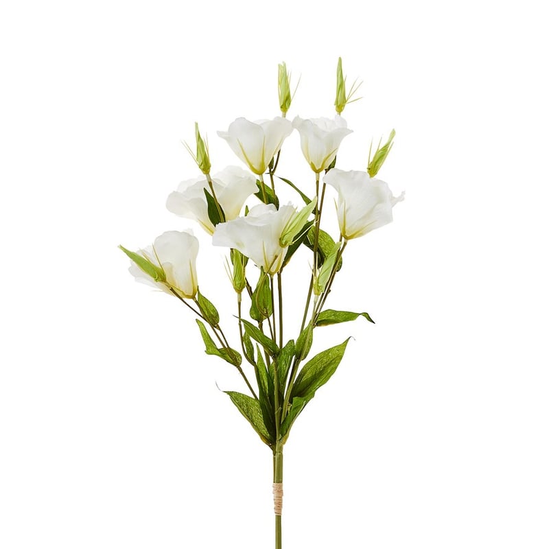 Spring Stems White Lisianthus 
