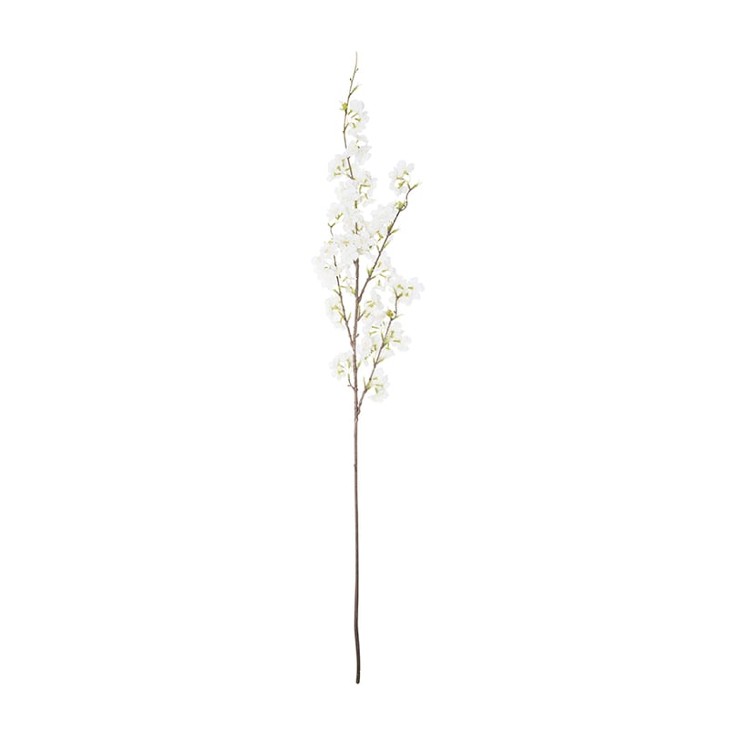 Spring Stems Cherry Blossom