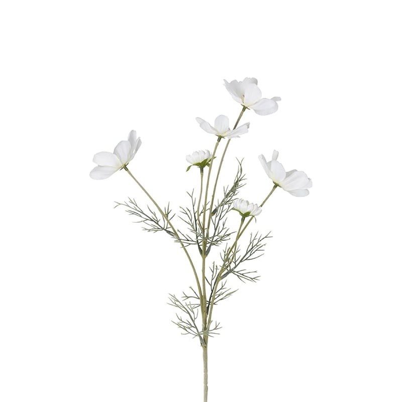 Spring Stems Cosmos Flower