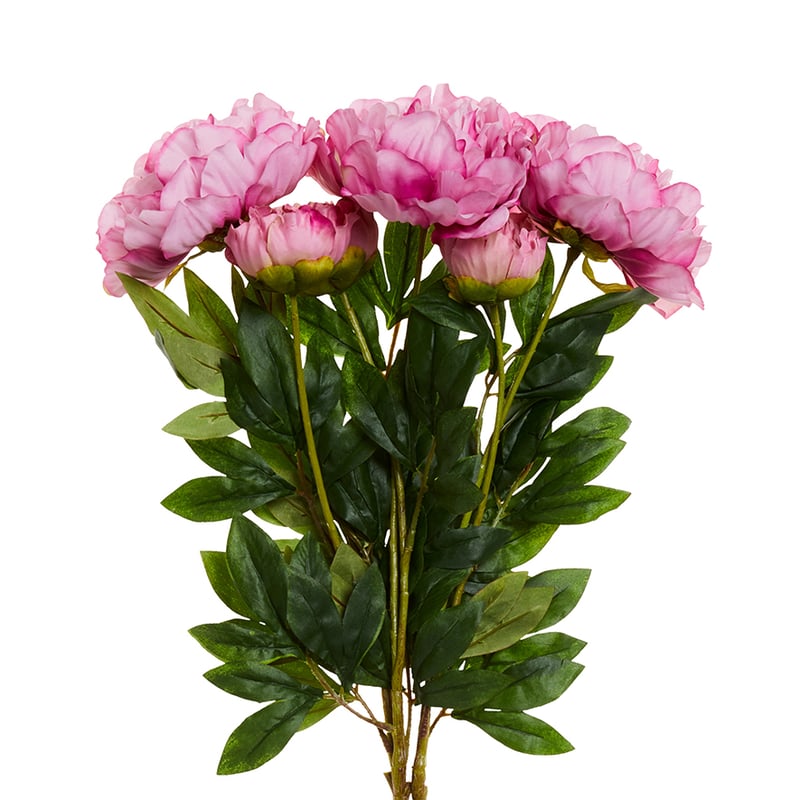 Spring Stems Full Blown Peony Mauve