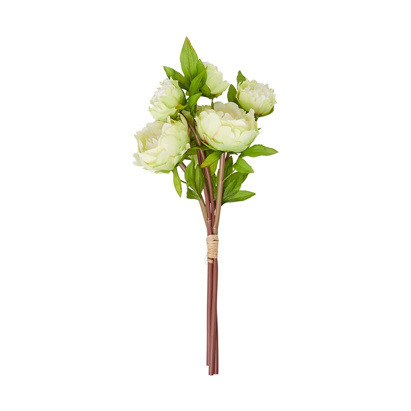 Spring Stems Peony