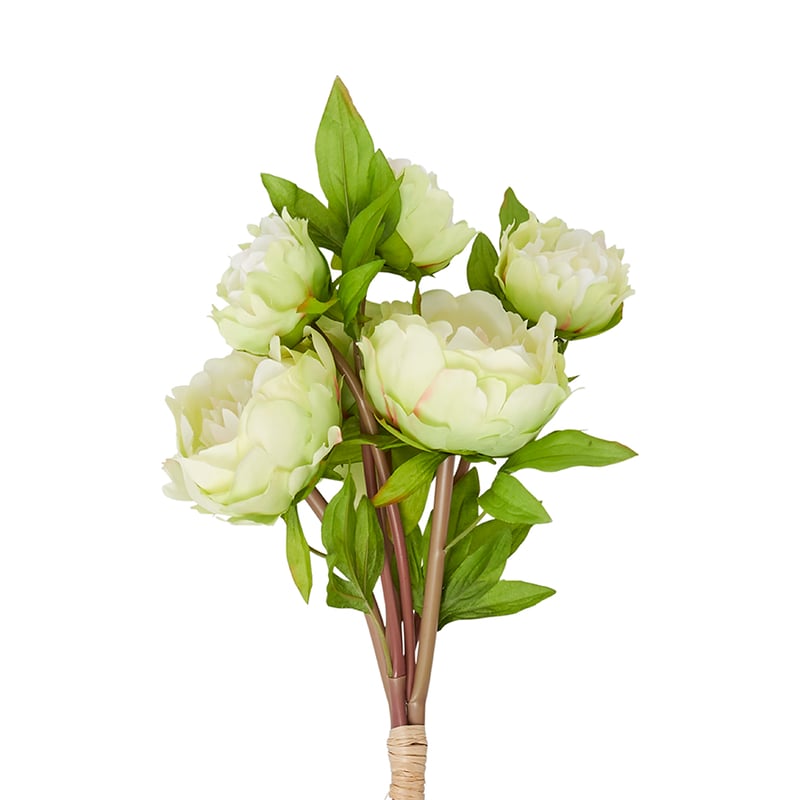 Spring Stems Peony