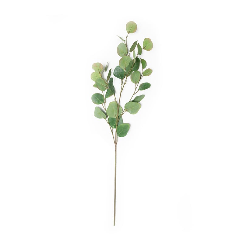 Spring Stems Round Eucalyptus Green