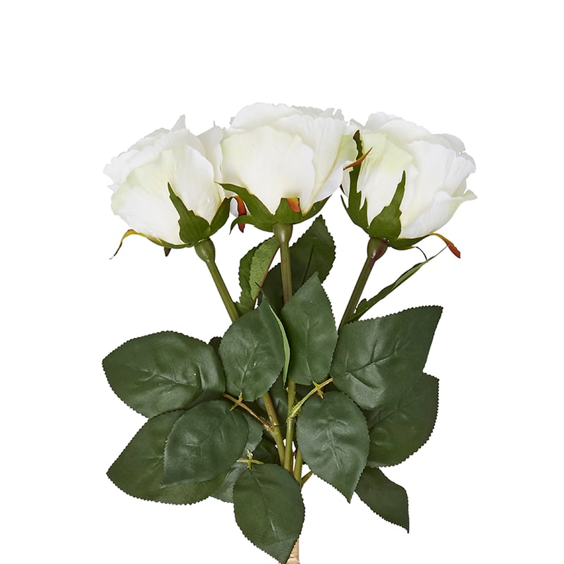 Spring Stems White Roses