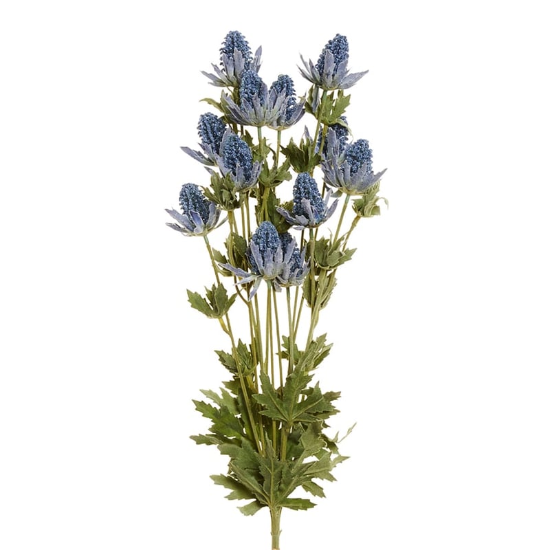 Spring Stems Thistle Blue 