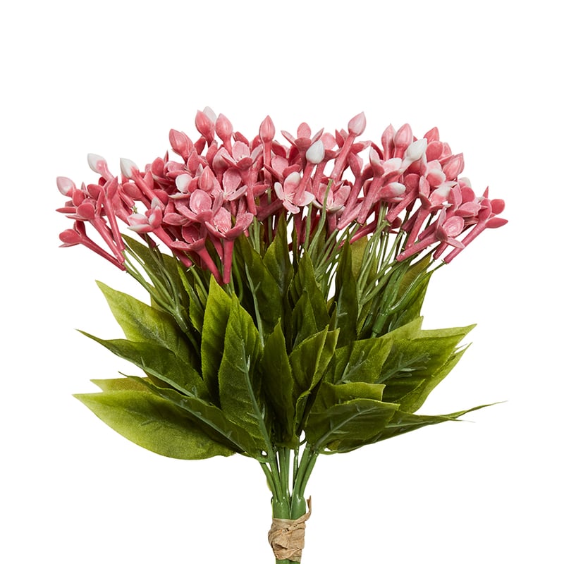Jasmine Bunch Pink 