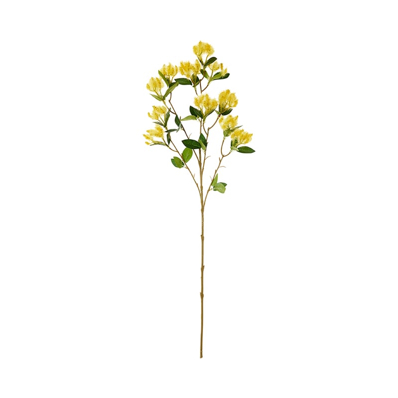 Riley Stem Yellow 