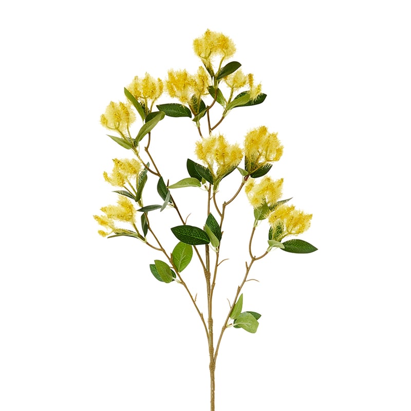 Riley Stem Yellow 