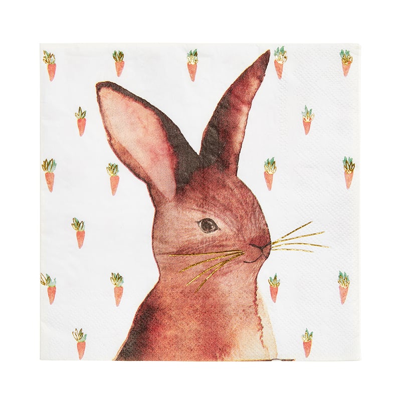 Easter Rabbit Pack of 20 Napkins