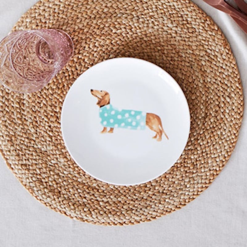 Blue Jumper Dachshund Plate 