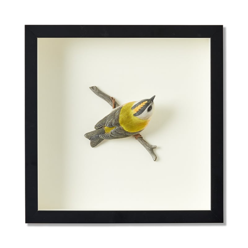 Framed Yellow Warbler Bird Sculpture
