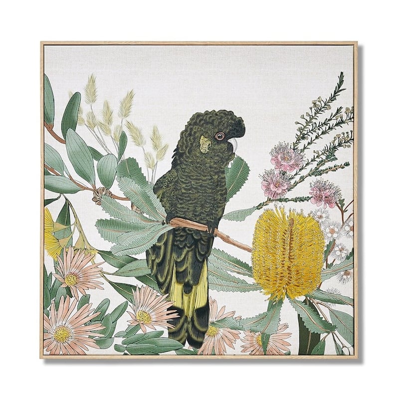 Native Bushland Natural Natural Black Cockatoo Wall Art