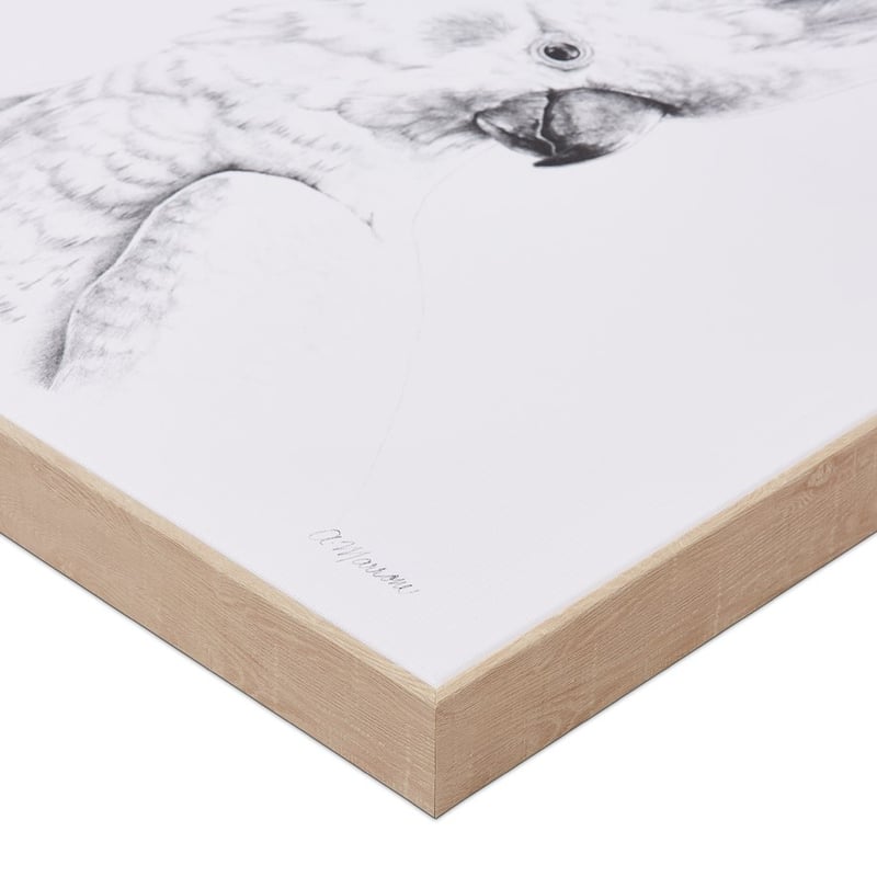 Anna Marrone Native Graphite Cockatoo Wall Art