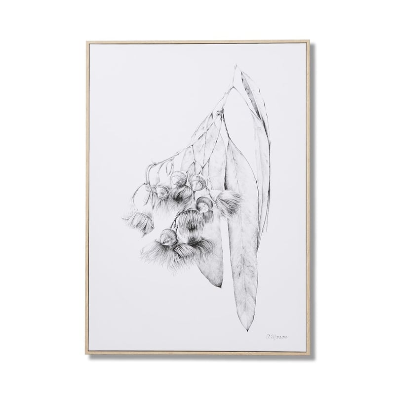 Anna Marrone Native Graphite Gumnut Wall Art