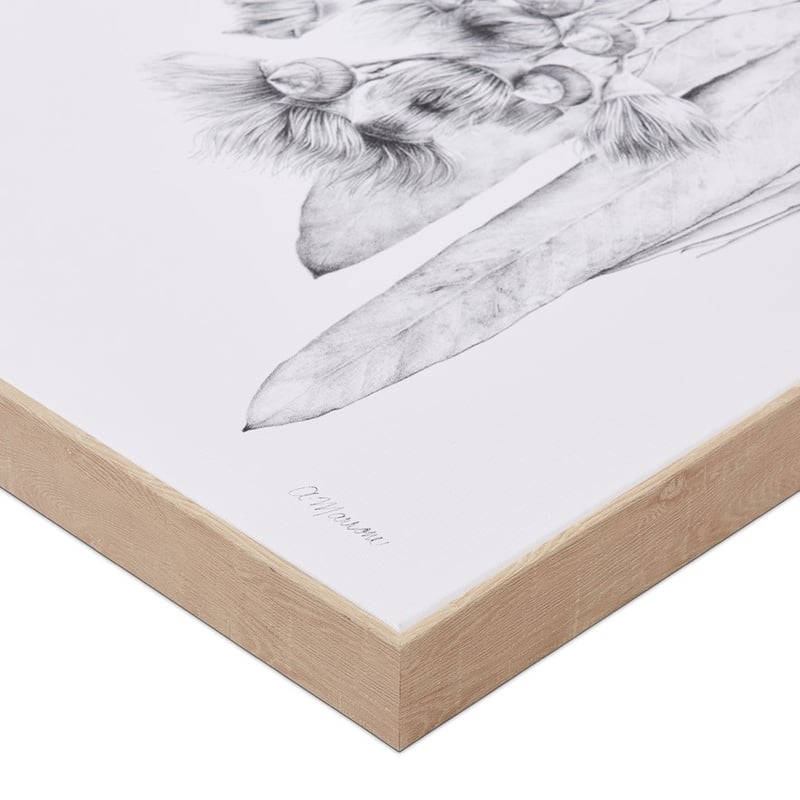 Anna Marrone Native Graphite Gumnut Wall Art