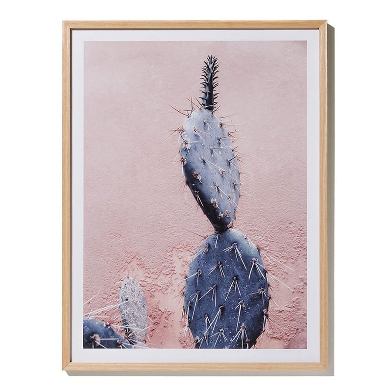 Amsterdam Photographic Prints 60x80cm Blush Cacti