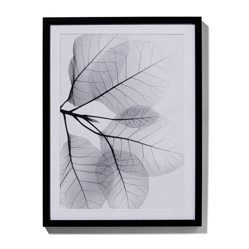 Transparent Foilage 47x62cm Grey Grace