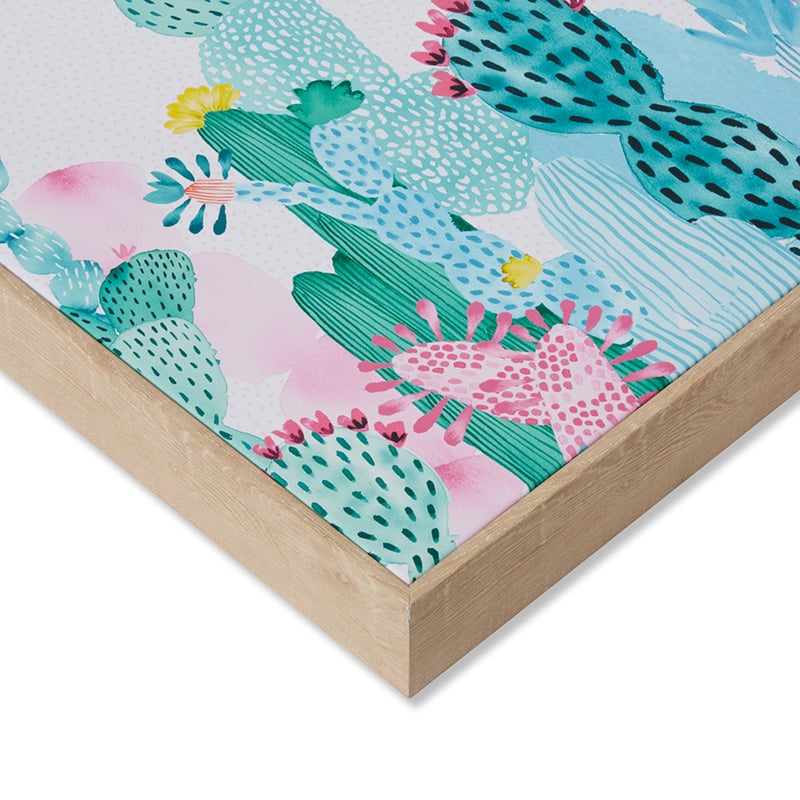 Cactus Garden Magenta Prickly Pear