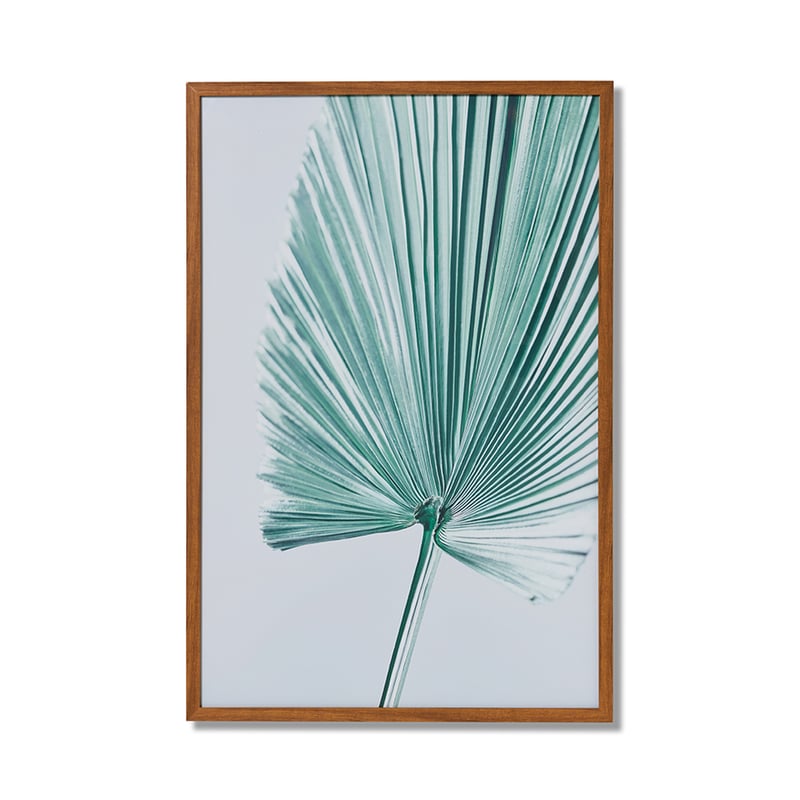 Summer Leaves Blush Fan Palm