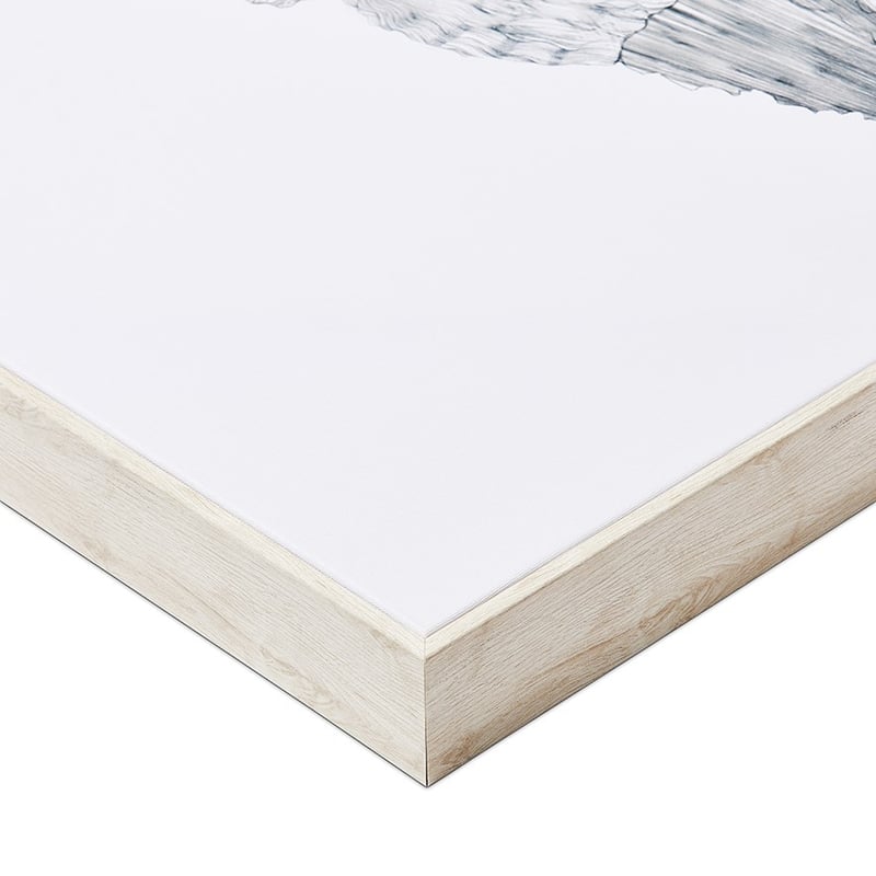 Coastal Canvas Shell Ocean Wall Art