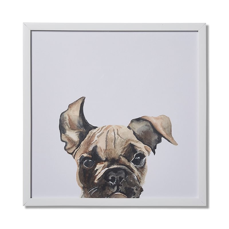 Pet Collection Nutshell Frenchie Wall Art