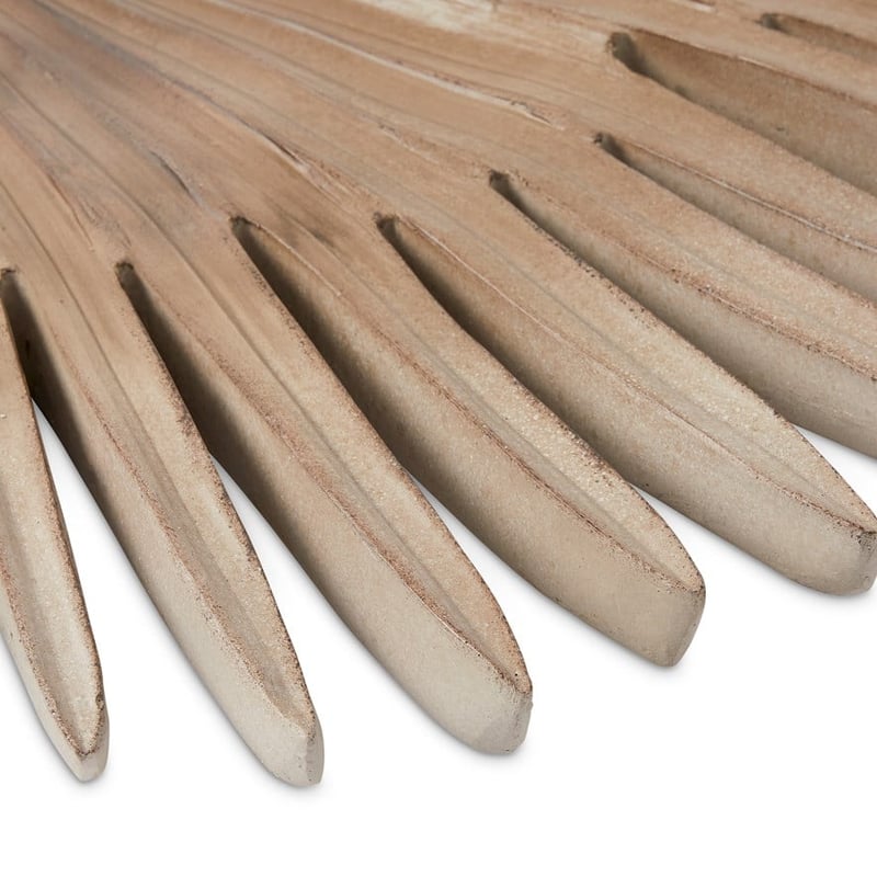 Palm Natural Fan Wall Art