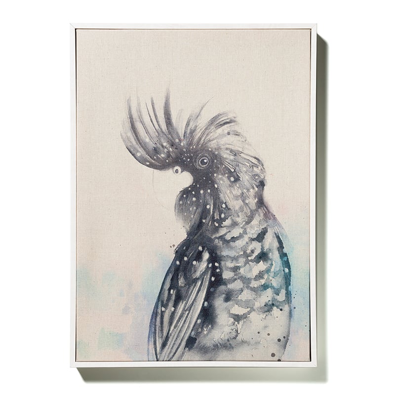 Native Bird Black Cockatoo Print