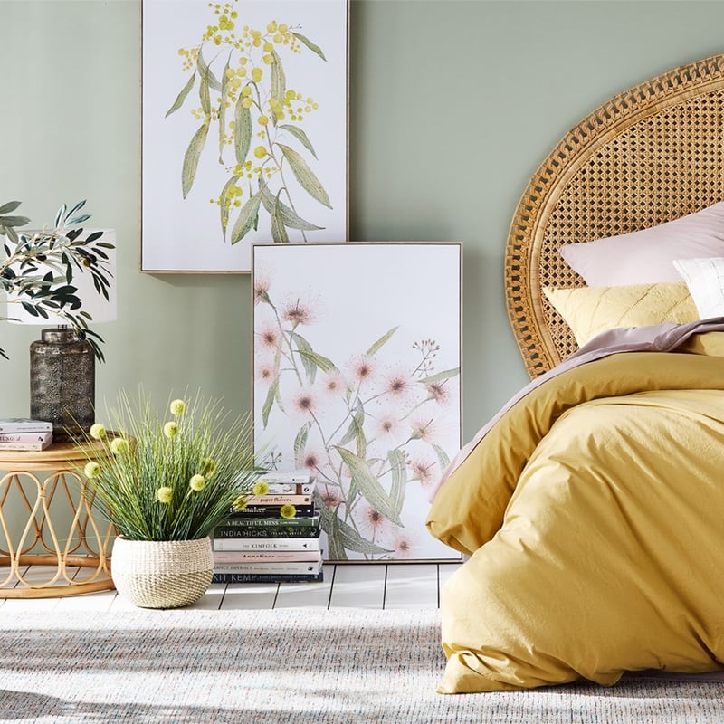 Australian Yellow Wattle Native Flora