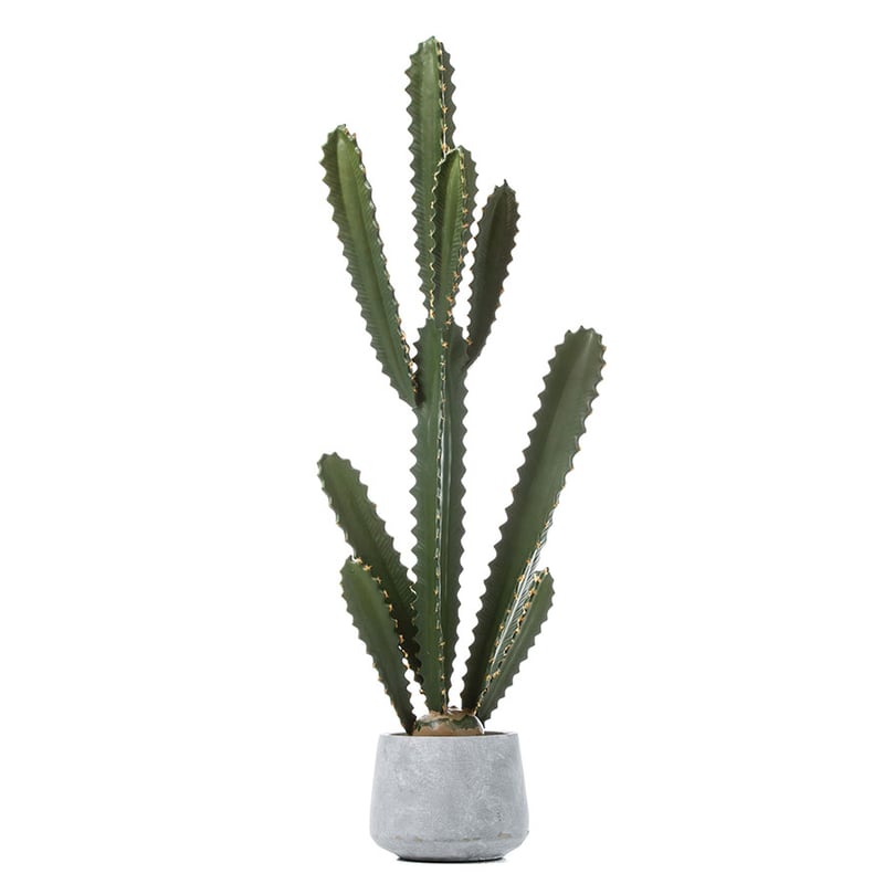 Arizona Collection Column Cactus