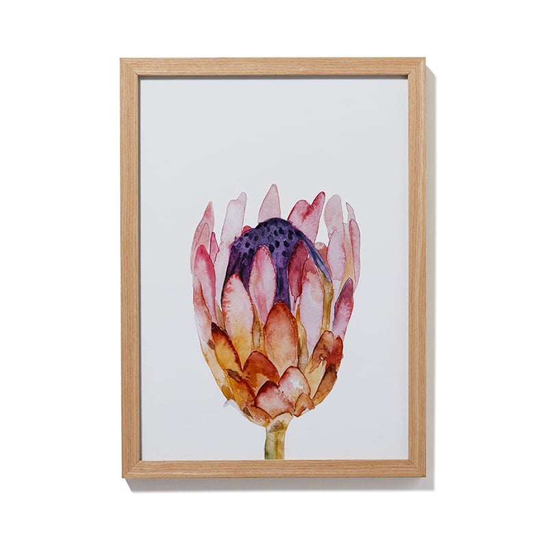 Botanica Australiana Print Blush