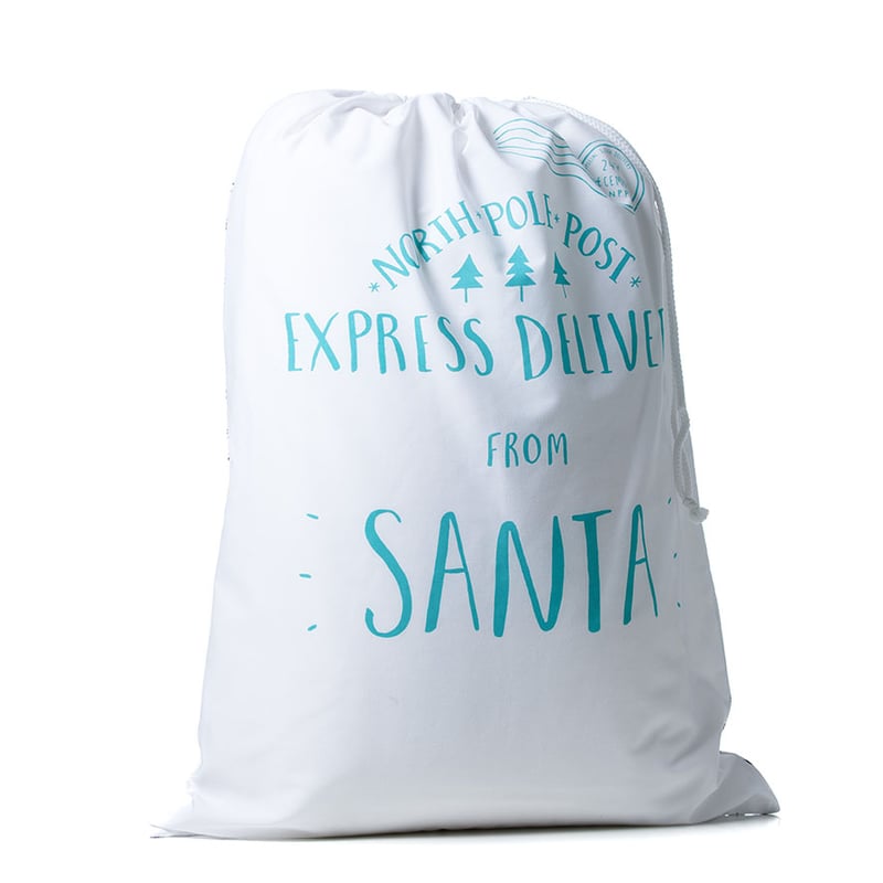 Mint Special Delivery Santa Sack