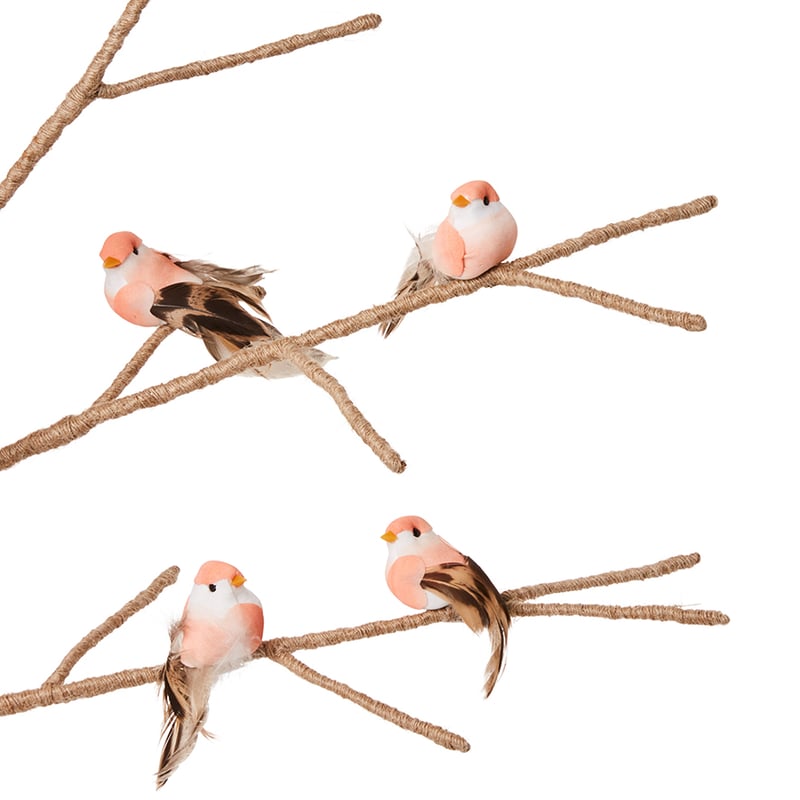 Feather Bird Blush Pack of 4