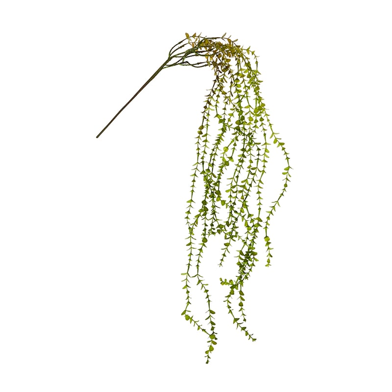 Spring Stems Mini Eucalyptus Vine Green