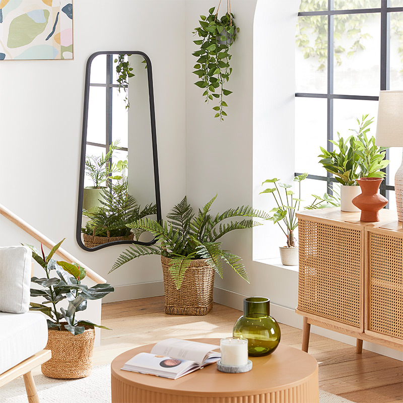Shop The Artificial Plants & Indoor Pots Guide Adairs
