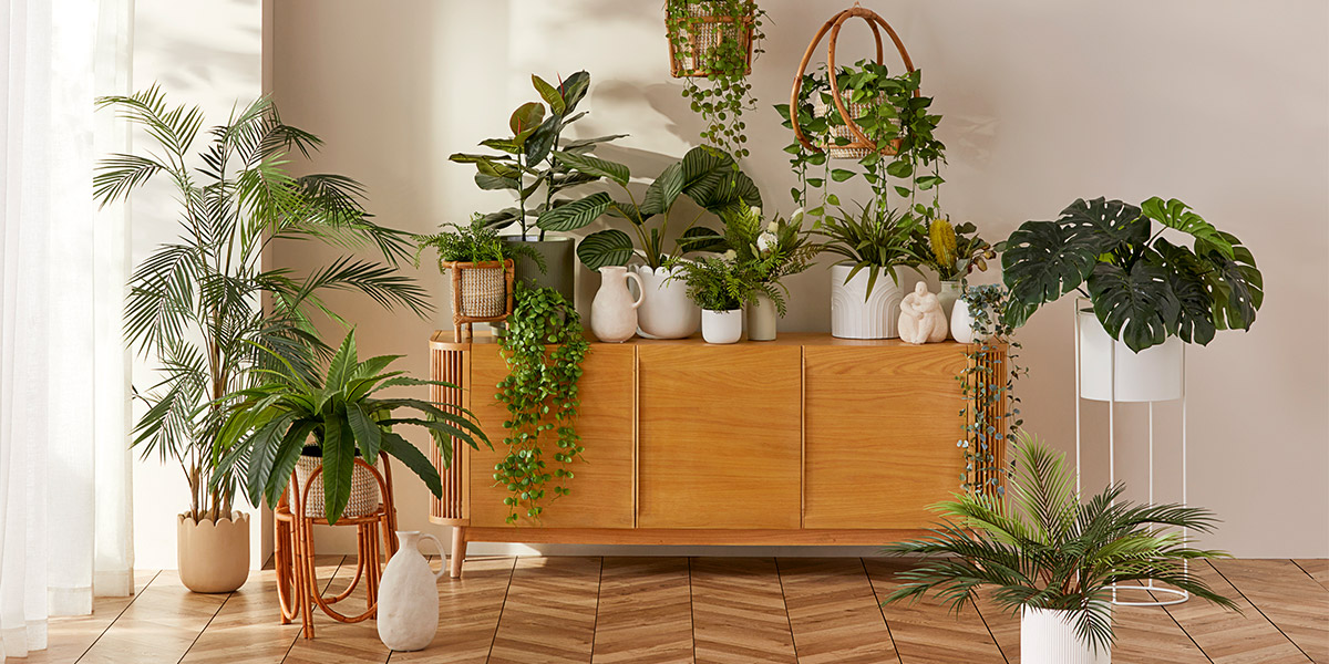 Shop The Artificial Plants & Indoor Pots Guide Adairs