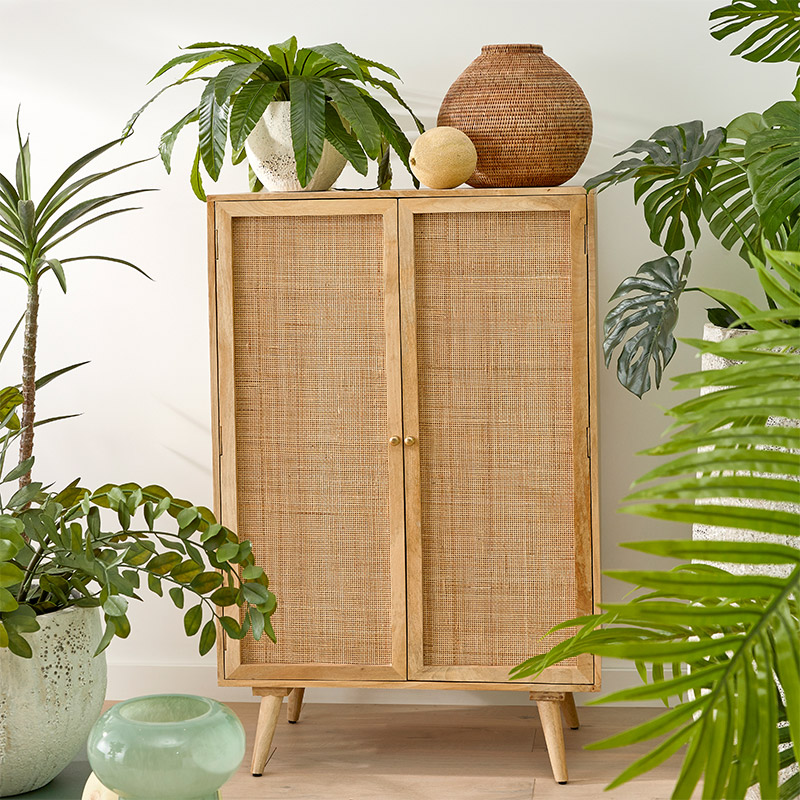 Shop The Artificial Plants & Indoor Pots Guide Adairs