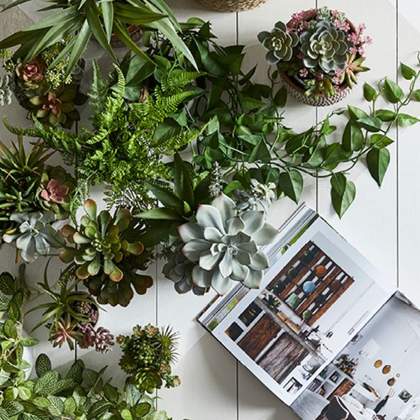 Bird’s eye view collection of succulents and potted plants next to an open book, styled on white wooden slat flooring. 