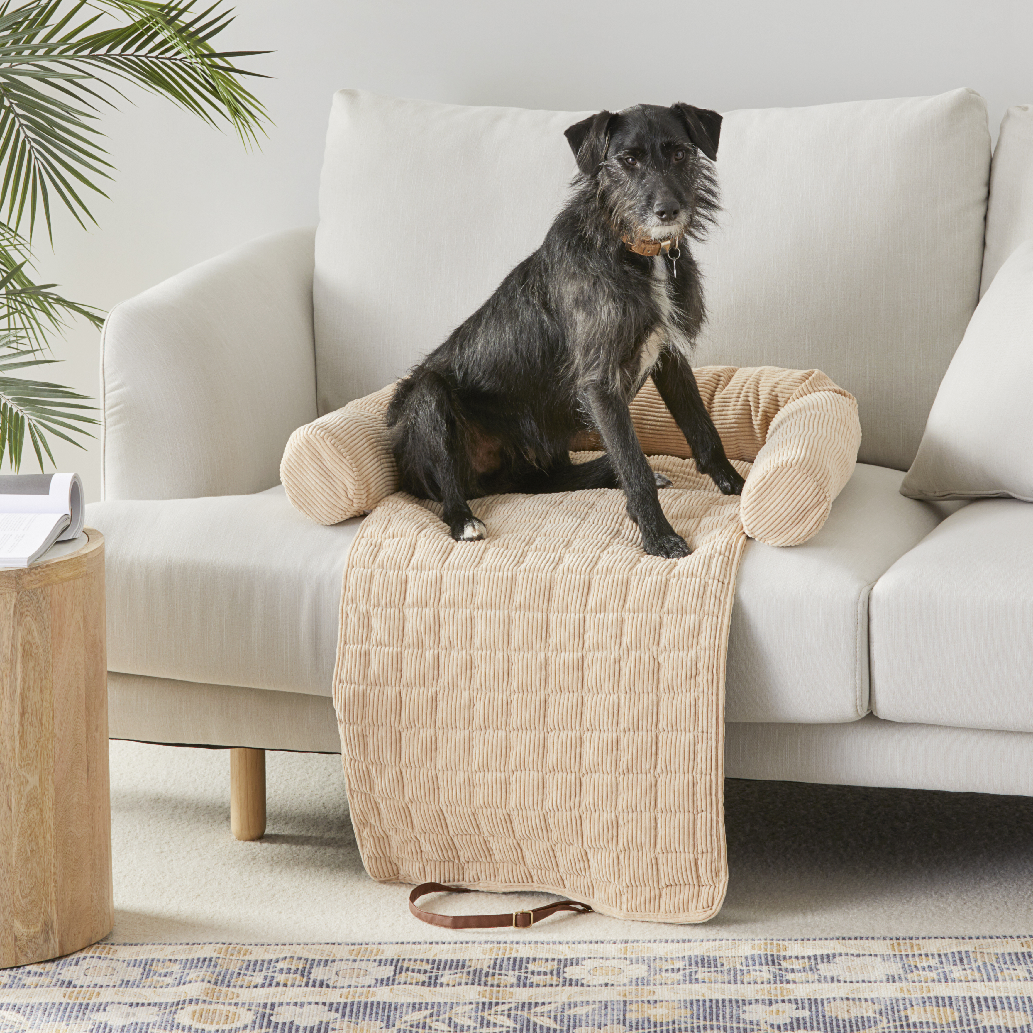 Pet couch bed cheap