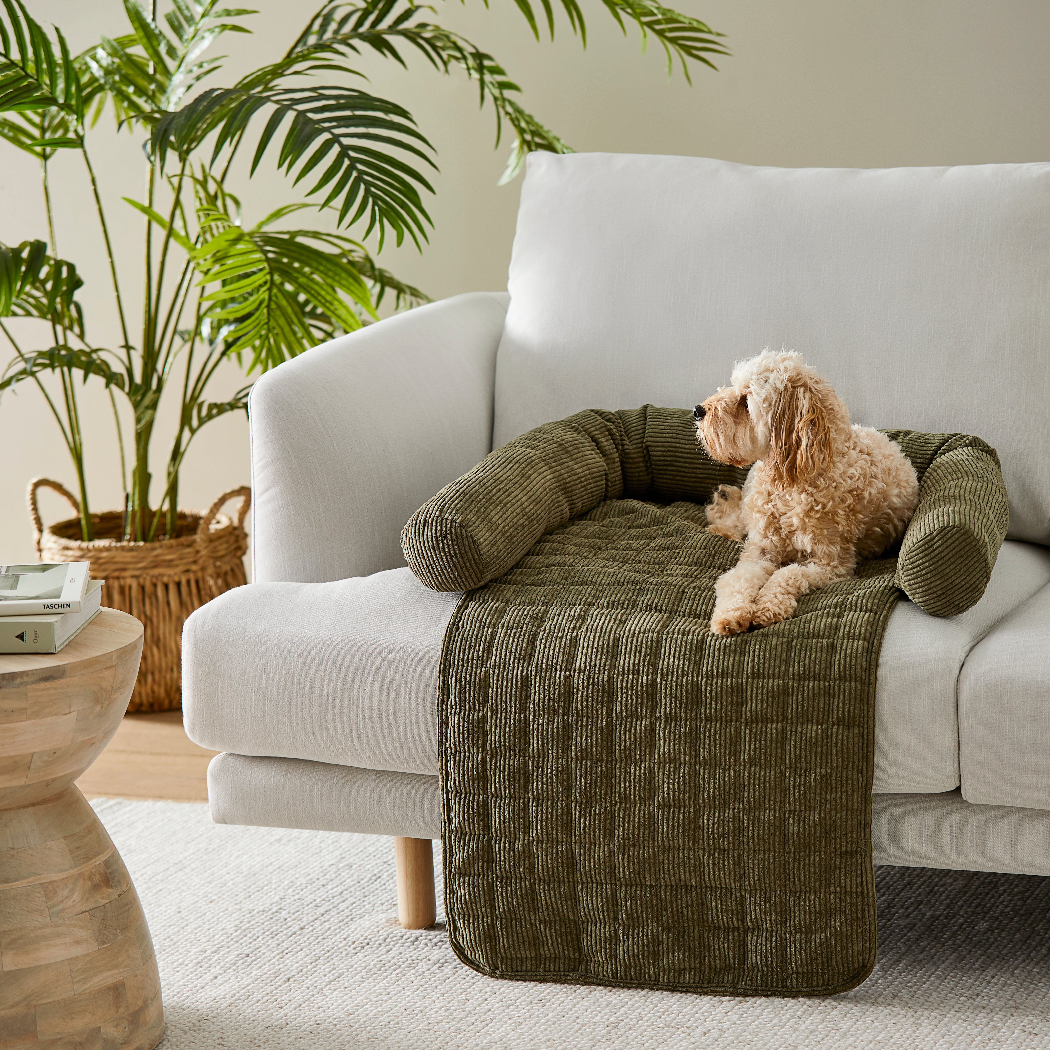 Maisy Forest Corduroy Fold Out Pet Bed Adairs
