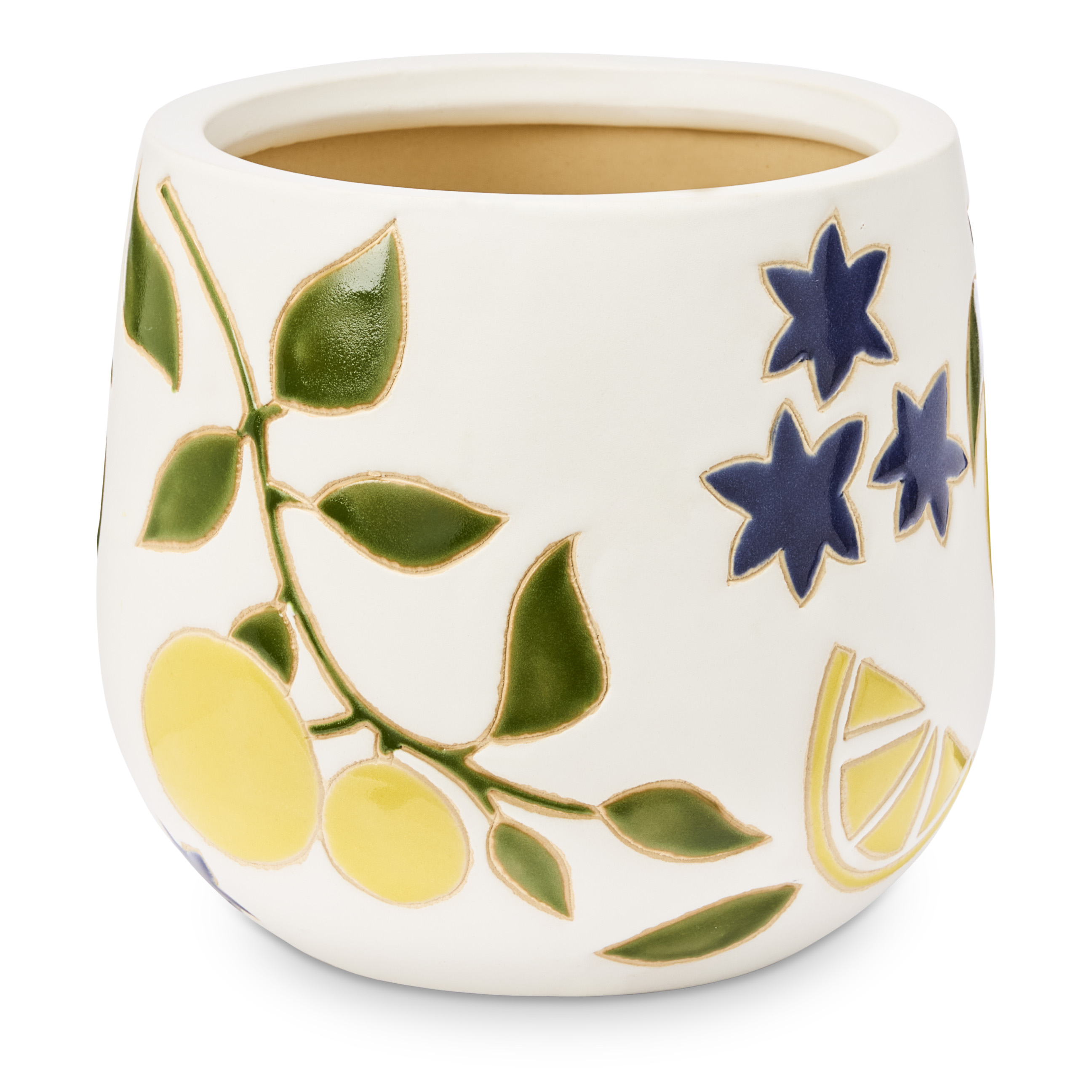 Citrus Lemons Pot Adairs