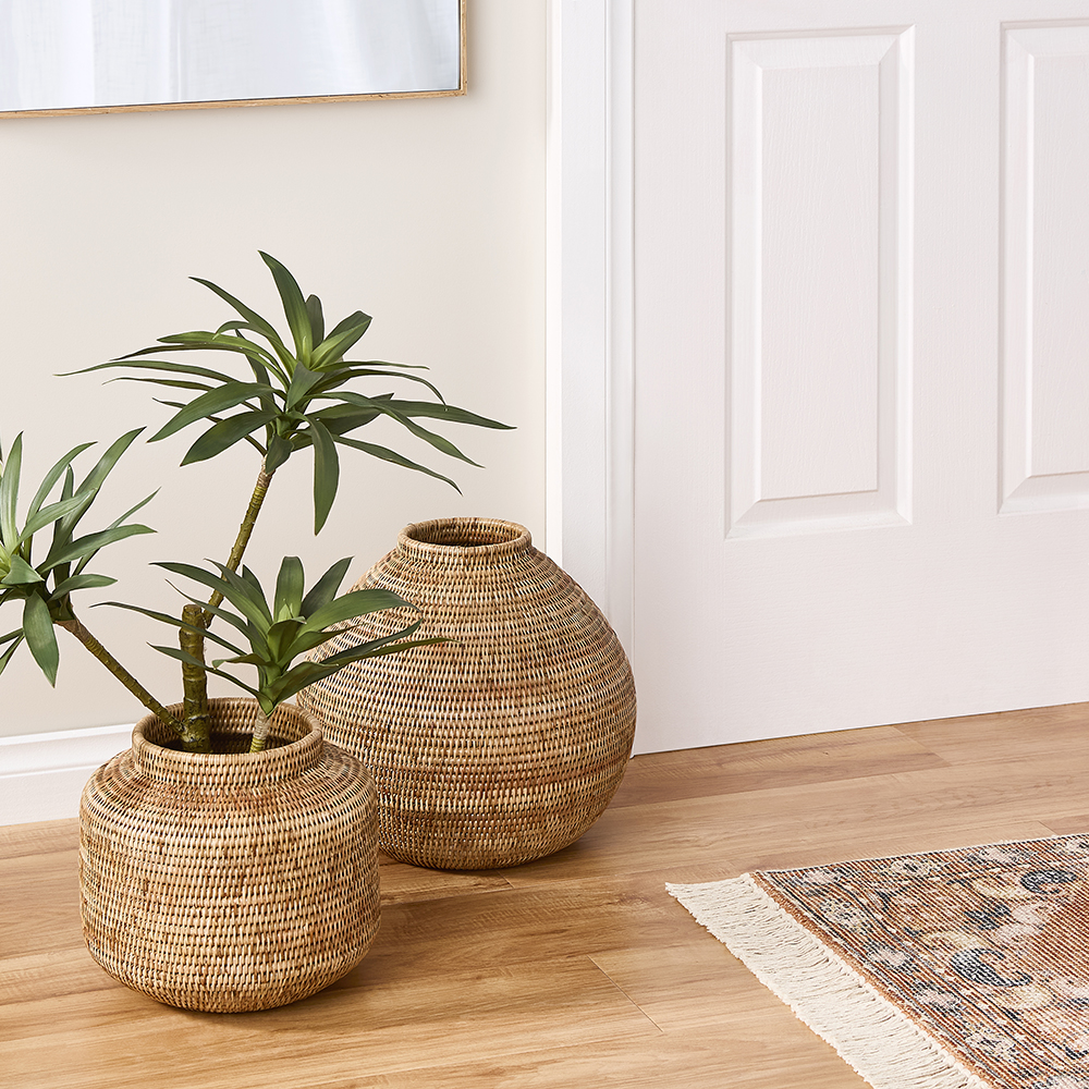 Shop The Artificial Plants & Indoor Pots Guide Adairs