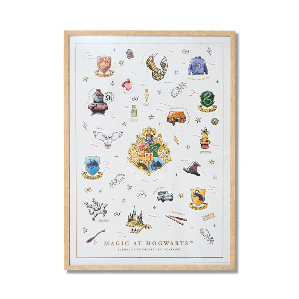 Adairs Kids Warner Bros Harry Potter Magic at Hogwarts Wall Art Adairs