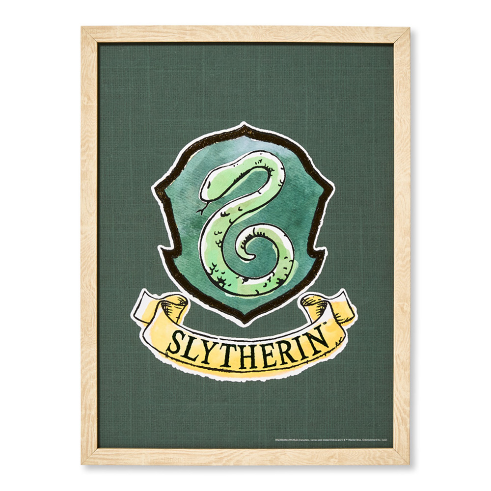 Adairs Kids - Warner Bros Harry Potter Slytherin Wall Art | Adairs