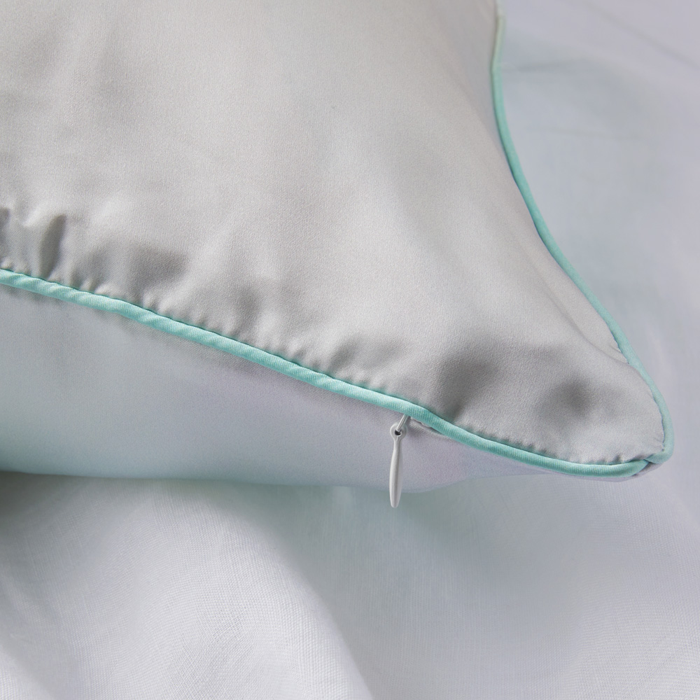 Dreaming Pure Silk Printed Pillowcase Adairs