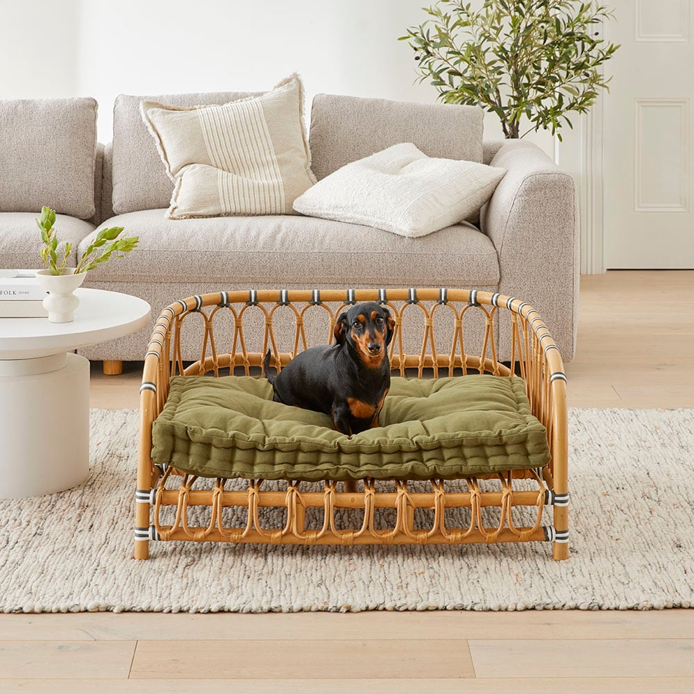 Oasis Forest Pet Bed Cushion Adairs