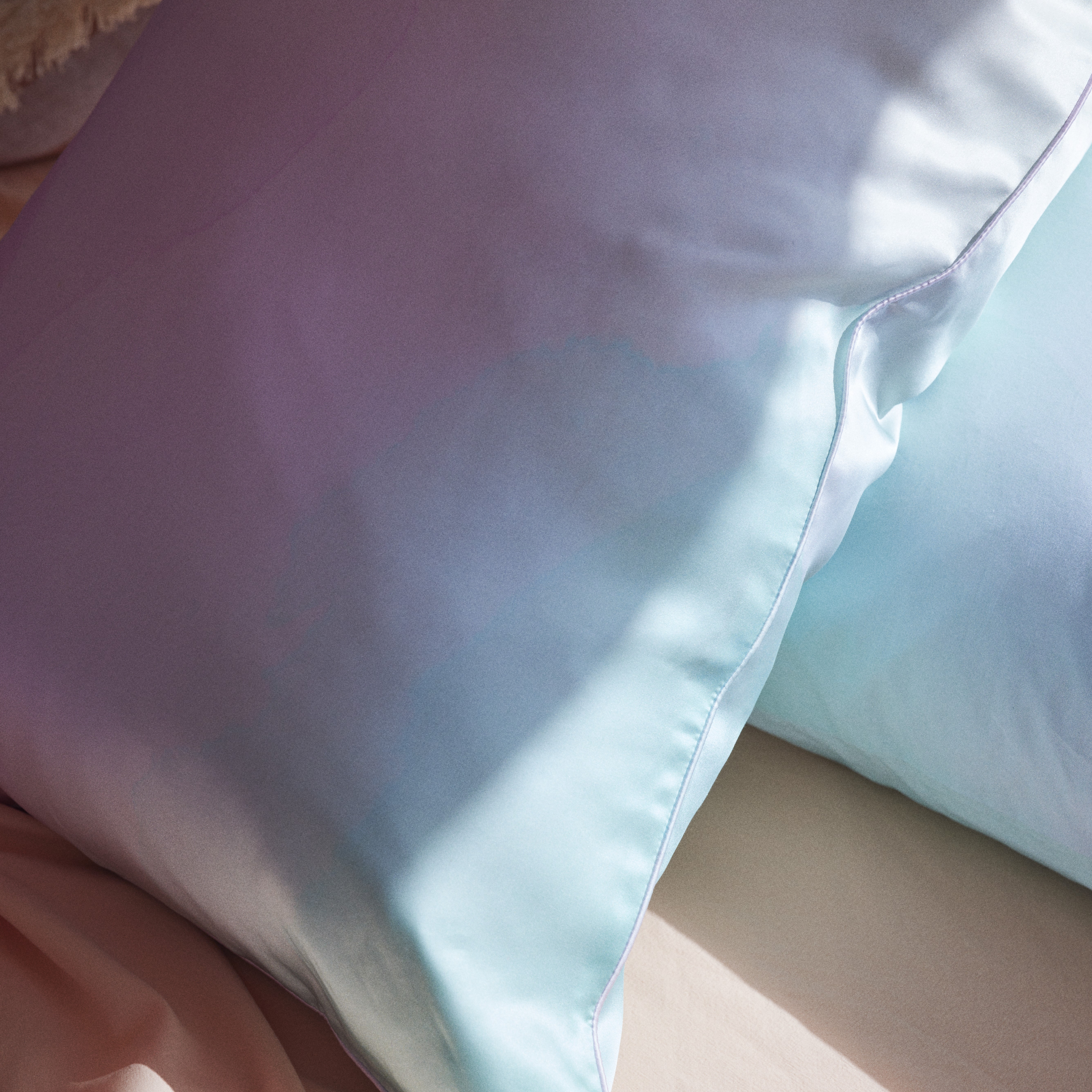 Dreaming Pure Silk Printed Pillowcase Adairs
