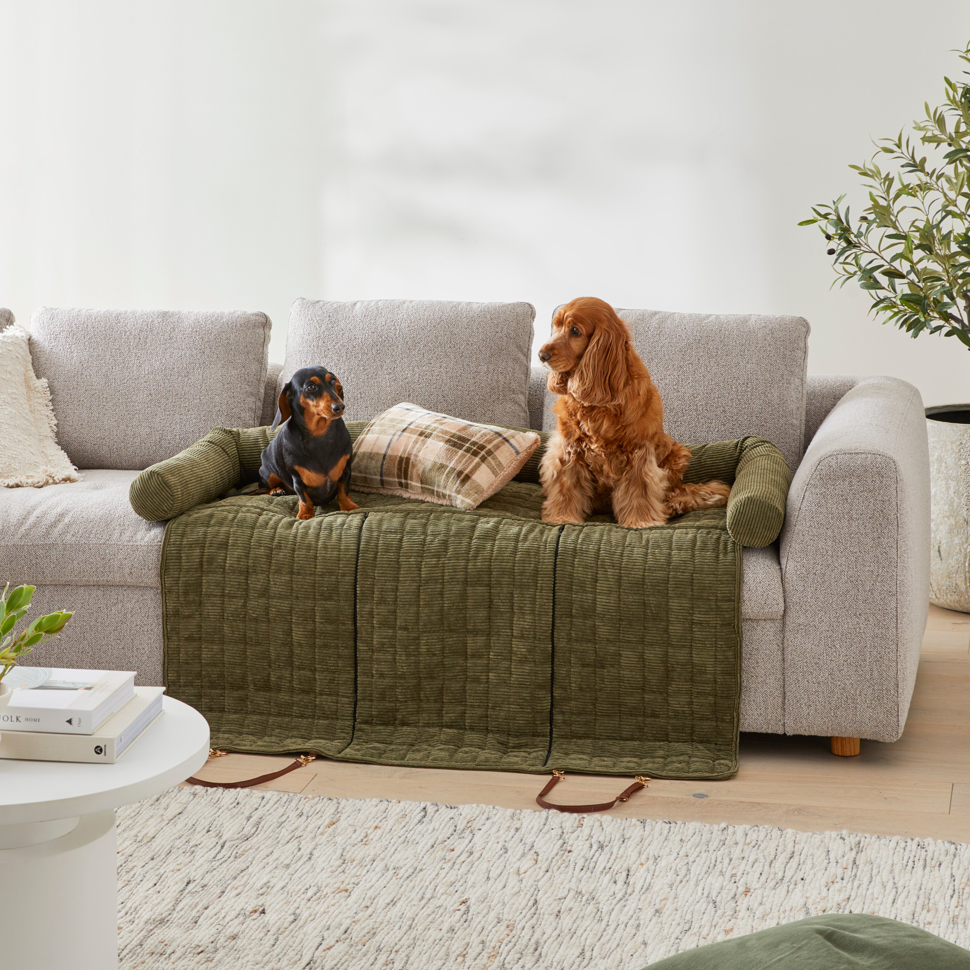 Orvis dog couch cover discount